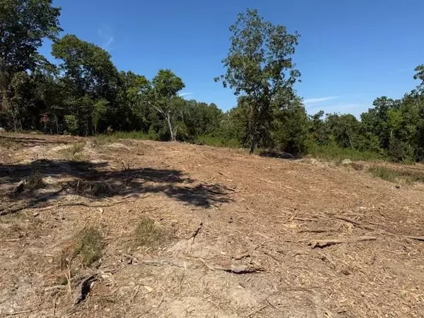 Taylorsville, GA 30178,00000 Satcher RD