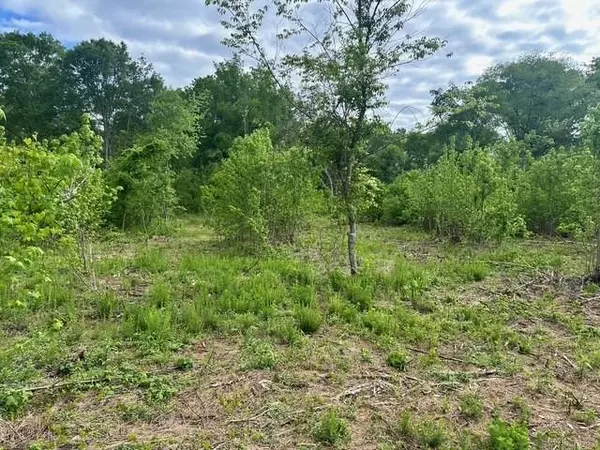 Taylorsville, GA 30178,00000 Satcher RD