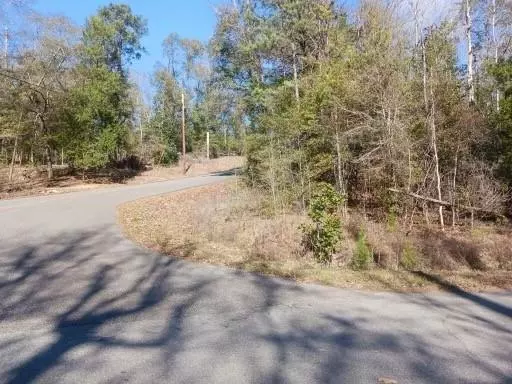 Georgetown, GA 39854,40 HILLTOP