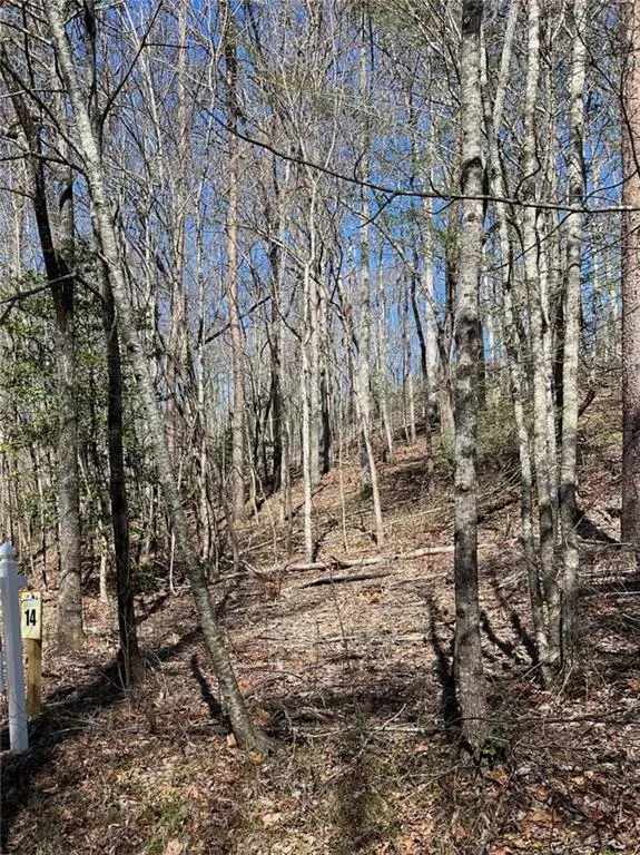 Blue Ridge, GA 30513,LOT 14 Haven WAY