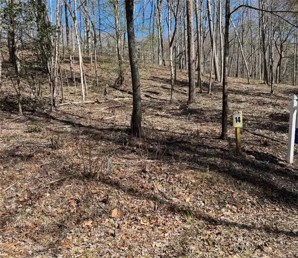 Blue Ridge, GA 30513,LOT 14 Haven WAY