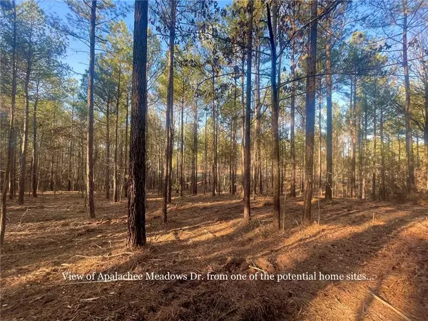 Madison, GA 30650,LOT 24 Apalachee Meadows DR