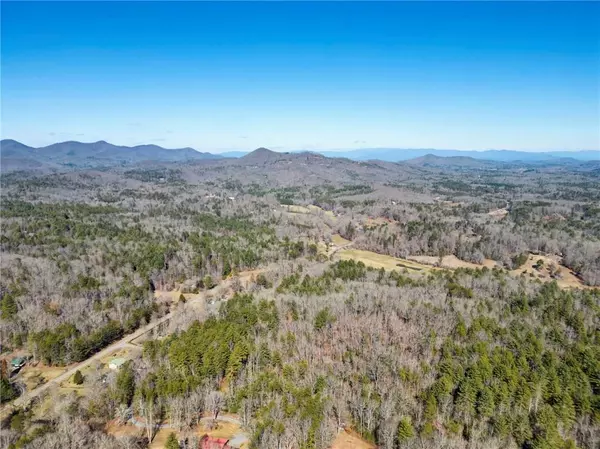 Mineral Bluff, GA 30559,0 Arp RD