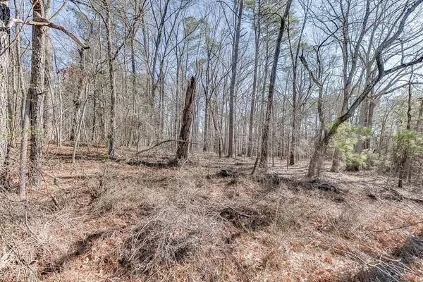 Dacula, GA 30019,00 Masters RD