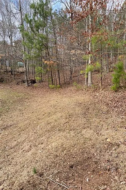 Cumming, GA 30041,0 Alexander CIR