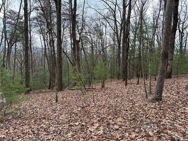 LOT 8 Marjorie AVE, Ellijay, GA 30536