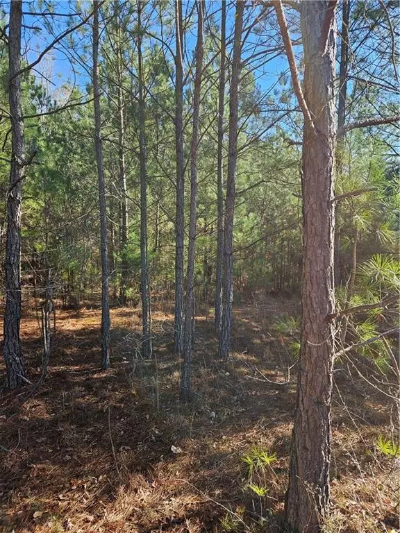 Conyers, GA 30013,2567 Gees Mill RD NE