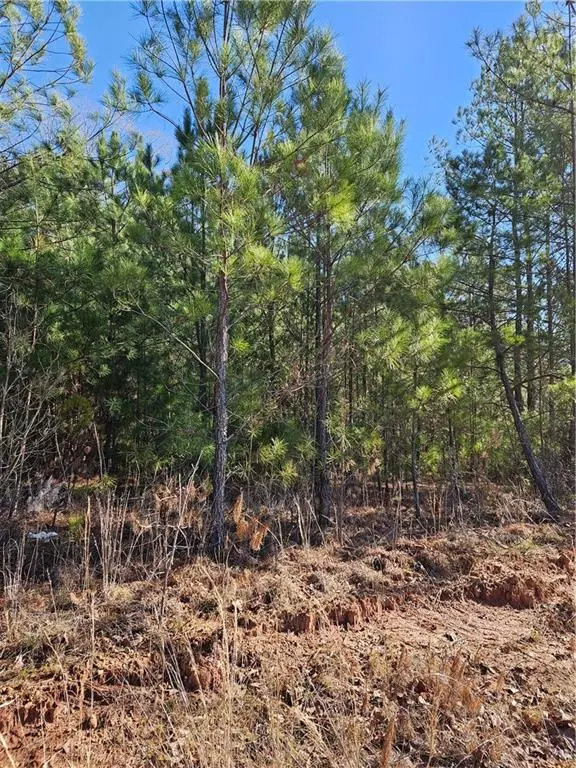 Conyers, GA 30013,2567 Gees Mill RD NE