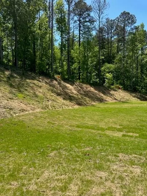 Douglasville, GA 30134,8622 Paradise (Lot 49) DR