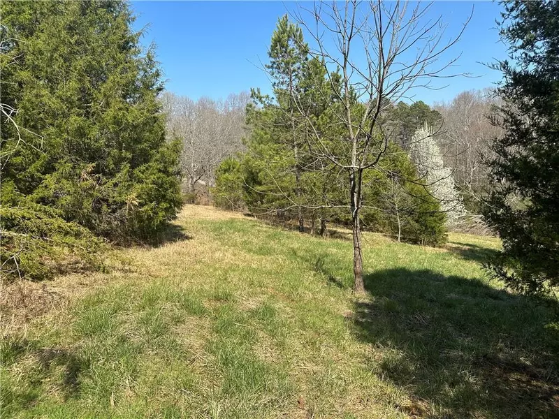 0 Papa Coon Trail, Demorest, GA 30535