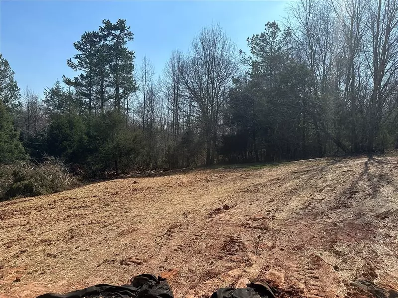 0 Papa Coon Trail, Demorest, GA 30535