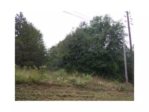 Loganville, GA 30052,0 ROSEBUD RD #5.0