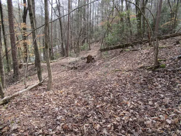 Dahlonega, GA 30533,00 Long Branch RD