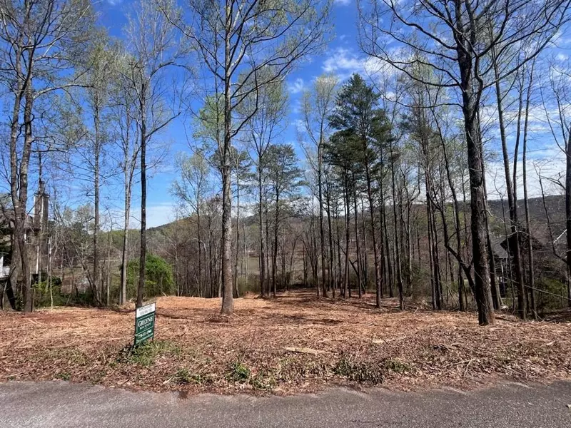 Lot 7 Jonney Thomas RD, Cleveland, GA 30528