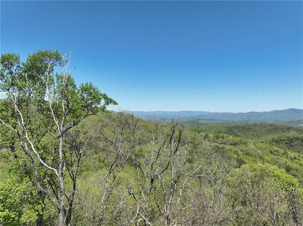 Ellijay, GA 30536,251 Blood Root TRL