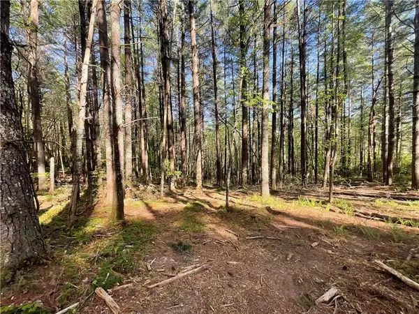 Blairsville, GA 30512,lot 46 Pleasant Meadows