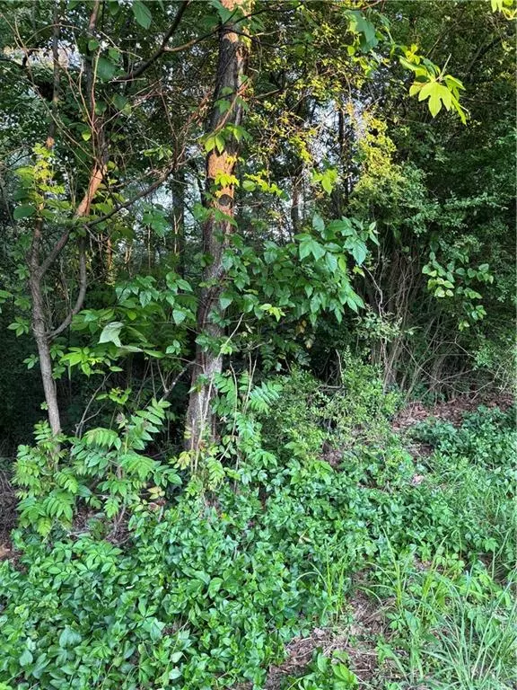 Rome, GA 30161,0 Wellington WAY