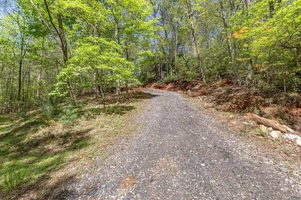 Ellijay, GA 30540,277 AC Tickanetley LN