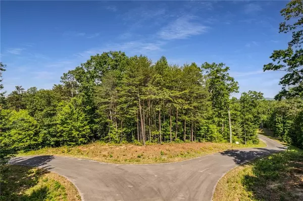 Ellijay, GA 30540,0 Ridgeway Forest