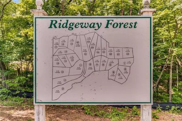 Ellijay, GA 30540,0 Ridgeway Forest