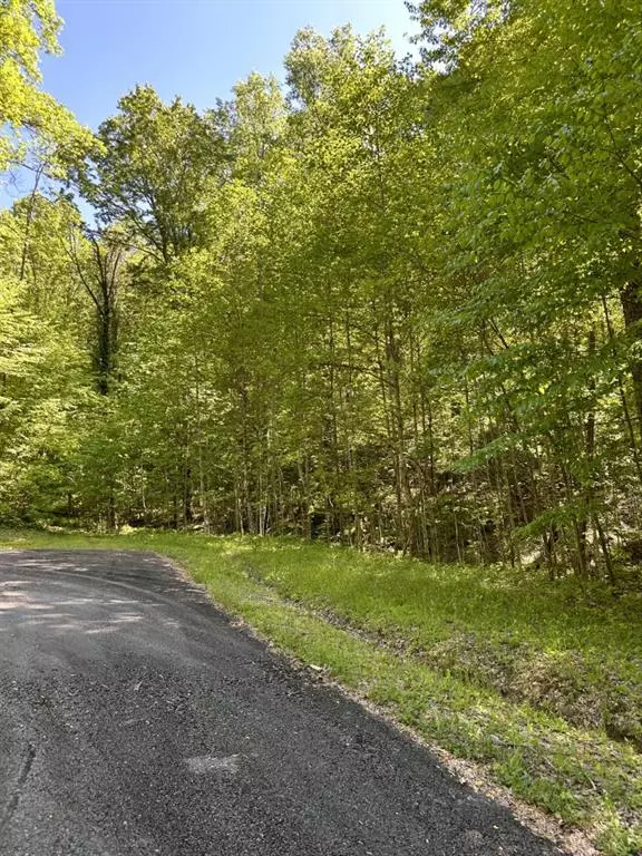 Ellijay, GA 30536,Lot 25 Goldmine Gap RD