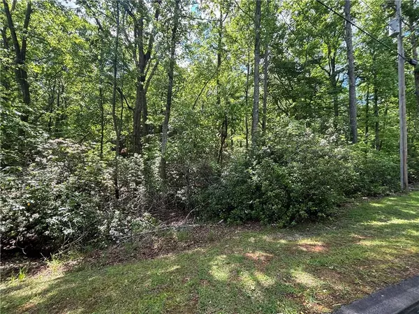 Waleska, GA 30183,158 Lone Bear DR