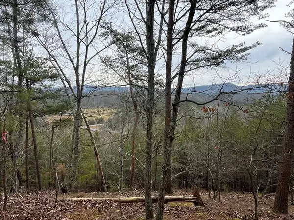 Ranger, GA 30734,000 Liberty Church Rd NE - Tract 3