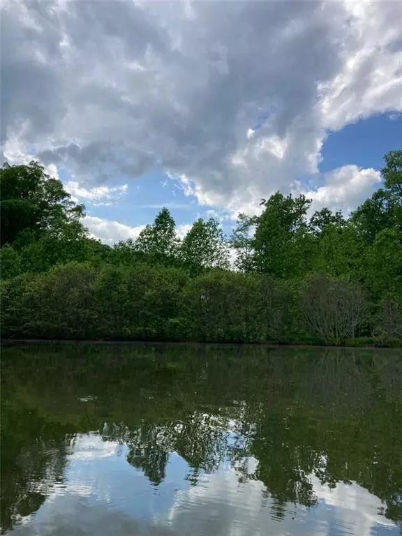 Cleveland, GA 30528,4 Long Mountain TRL