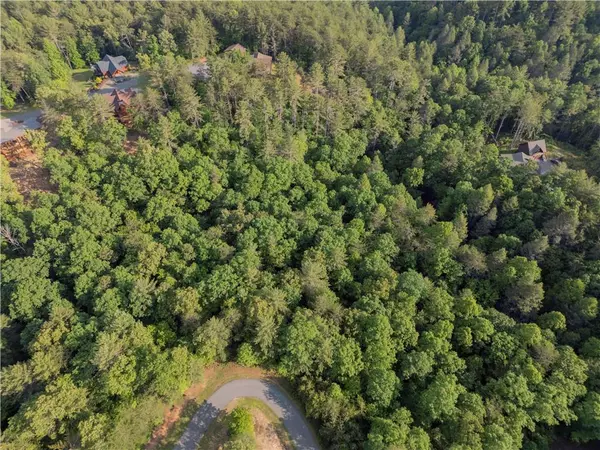 Mineral Bluff, GA 30559,0 Red Bridge LN