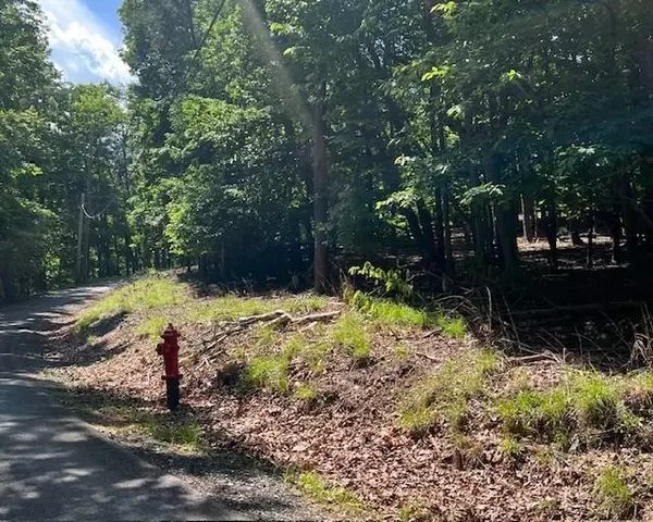 Jasper, GA 30143,1121 Oglethorpe Mountain RD