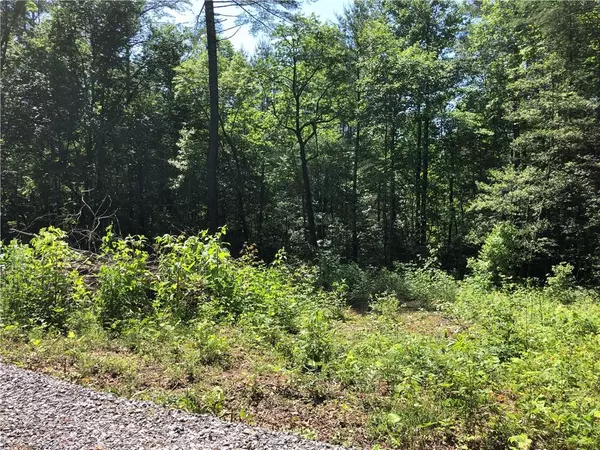 Ellijay, GA 30540,75 Meadowbrook (Lot 39) LN