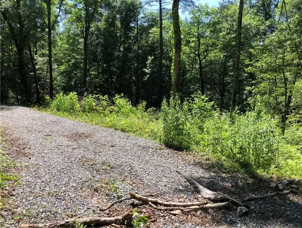 Ellijay, GA 30540,75 Meadowbrook (Lot 39) LN