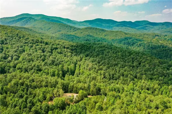 Ellijay, GA 30540,0 Flagpole CIR