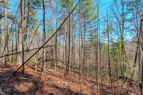 Ellijay, GA 30540,LOT 27 Brook CT