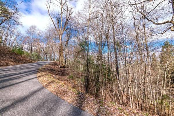 LOT 43 Dusty Danno TRL, Mineral Bluff, GA 30559