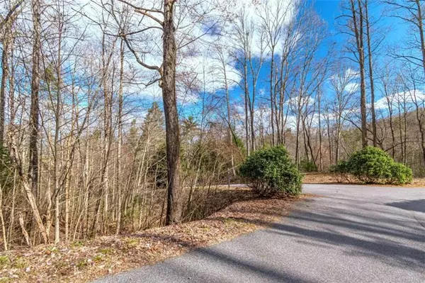 Mineral Bluff, GA 30559,LOT 43 Dusty Danno TRL