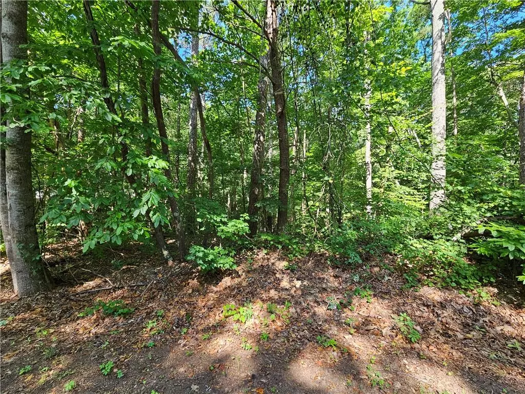 Cartersville, GA 30120,Address not disclosed