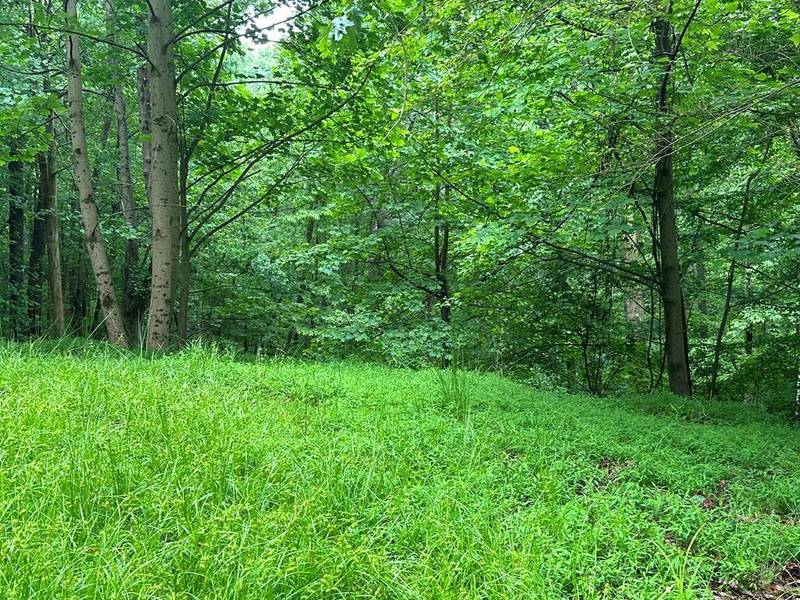 Lot 59 Timberwalk DR, Ellijay, GA 30540