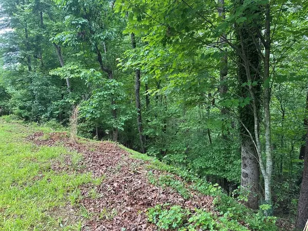 Ellijay, GA 30540,Lot 40 Timberwalk DR