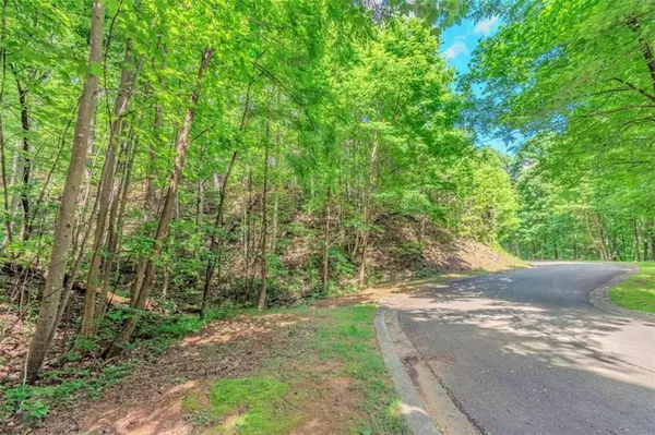 Ellijay, GA 30540,LOT 36 Abbott Mill RD