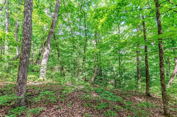 Ellijay, GA 30540,LOT 36 Abbott Mill RD