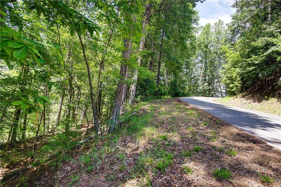 00 Newport DR, Ellijay, GA 30540