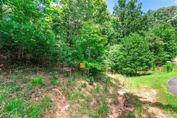 Morganton, GA 30560,LOT 22 Meadow Brook TRL