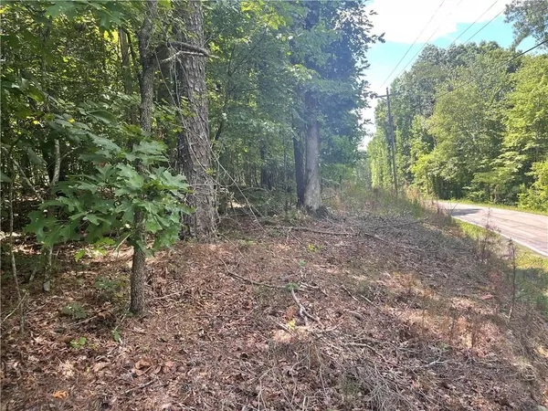 Jasper, GA 30143,0 Salem Church Road Lot #2