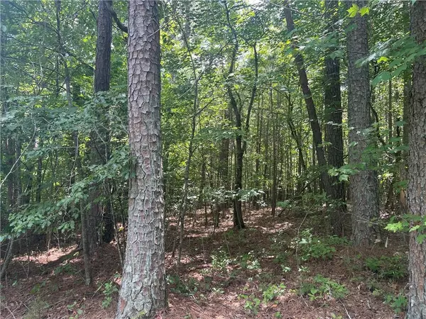 Jasper, GA 30143,0 Salem Church Road Lot #2