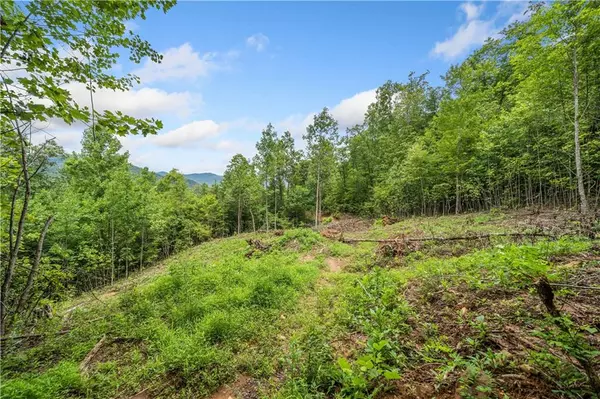 Hiawassee, GA 30546,00 Tom Wheeler RD