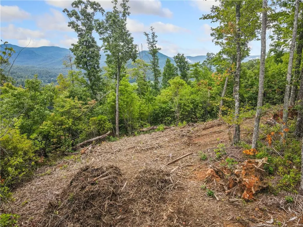 Hiawassee, GA 30546,00 Tom Wheeler RD