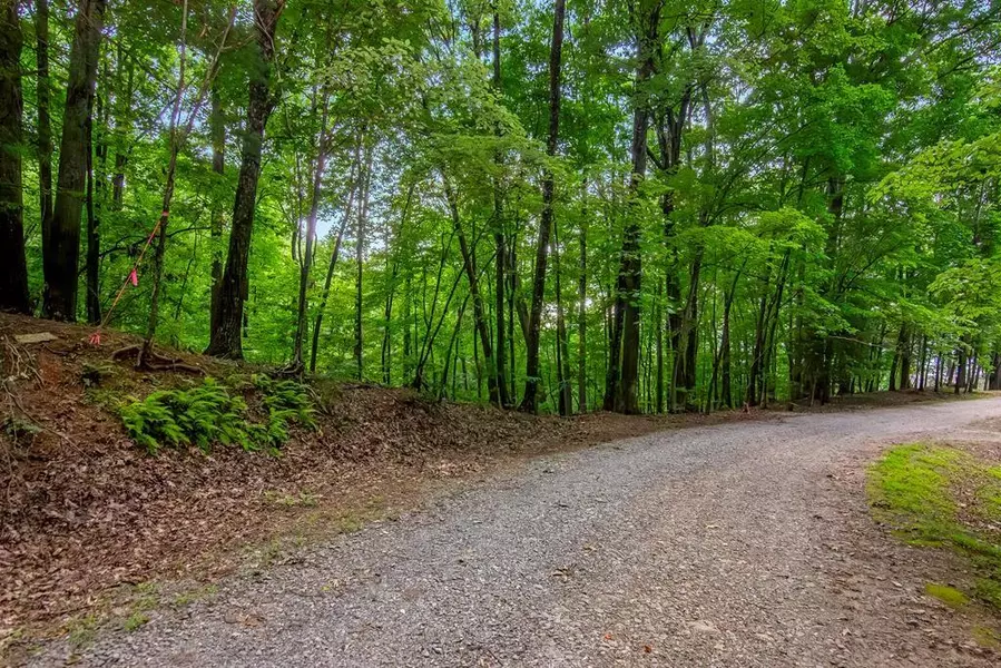 J349 Walnut Mountain, Ellijay, GA 30540