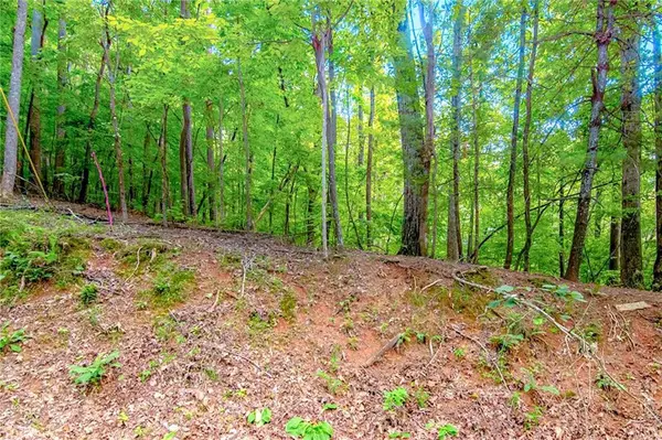 J350 Walnut Mountain, Ellijay, GA 30540