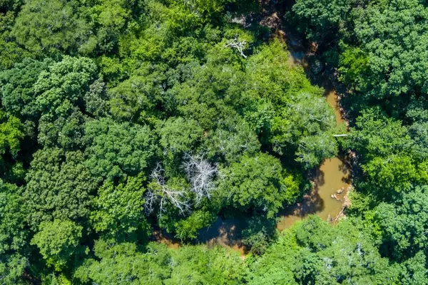 Braselton, GA 30517,6 Lamar Cooper RD